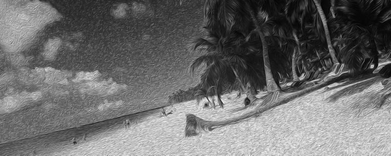 ISLA SAONA - REPÚBLICA DOMINICANA V2