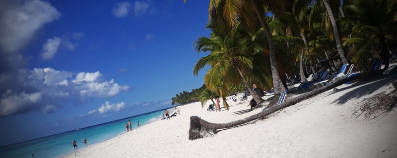 ISLA SAONA - REPÚBLICA DOMINICANA V3 EX