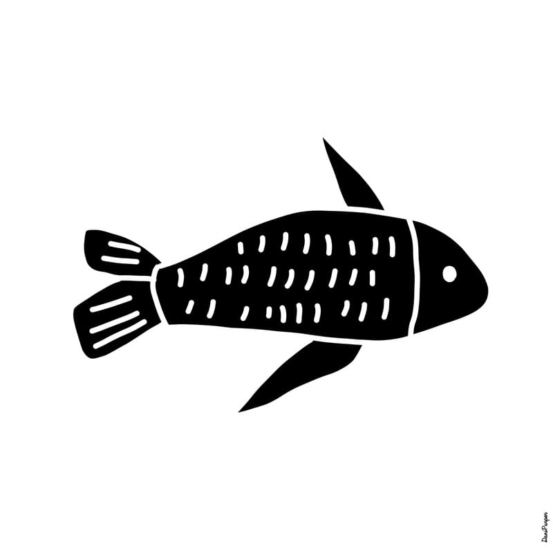 PEIXE XILO
