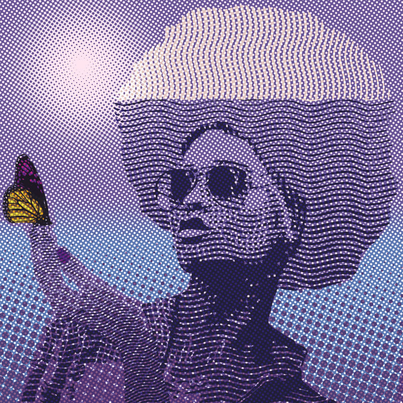 MINE BUTTERFLY