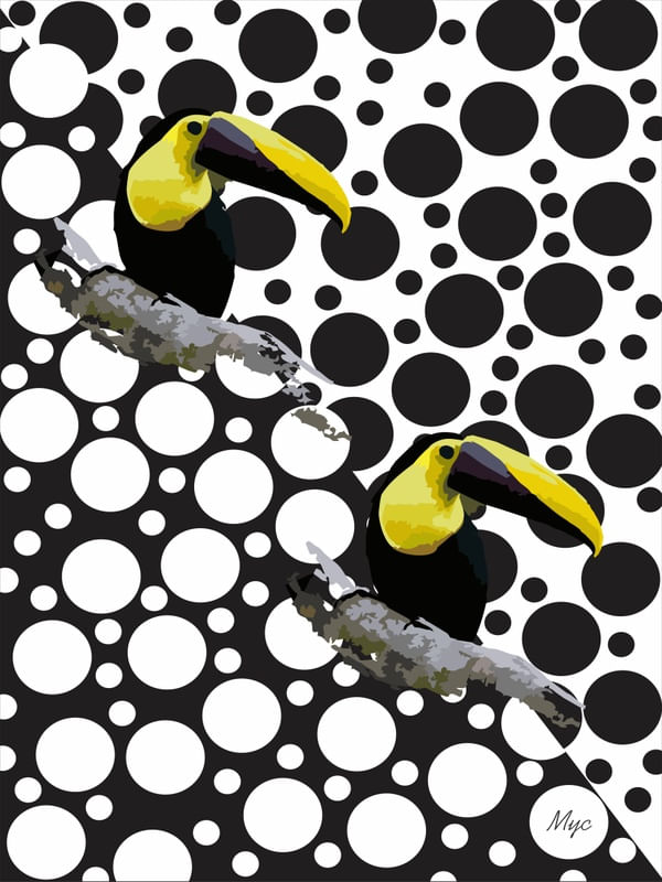 TUCANOS