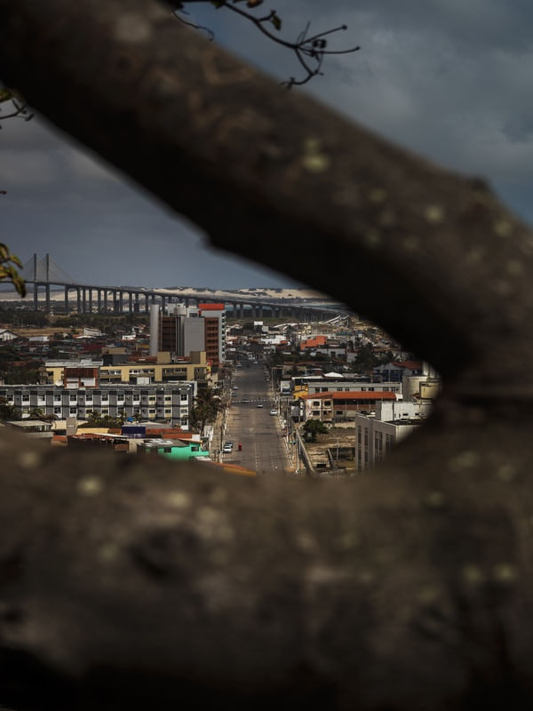 POR TRÁS DO CAJUEIRO