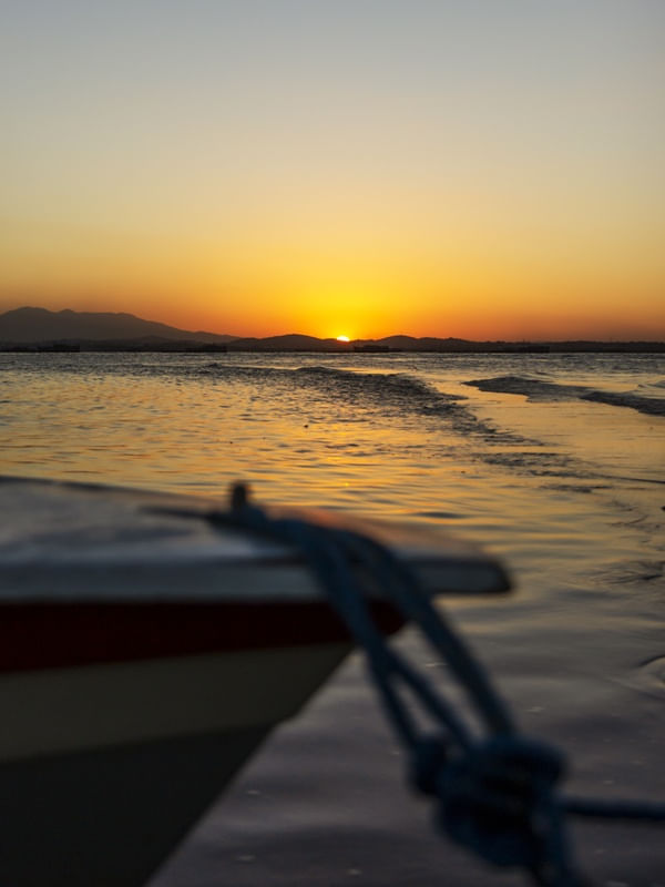 O SOL DA PROA