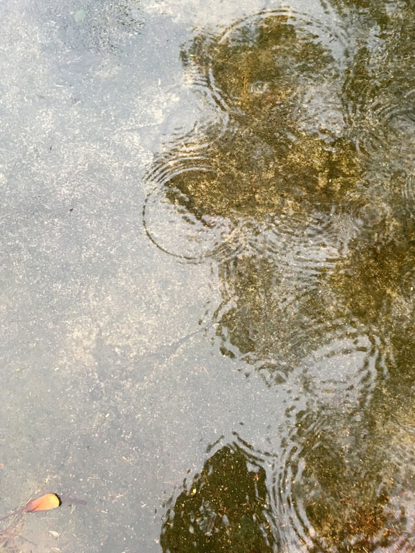 CHUVA NA CALÇADA I
