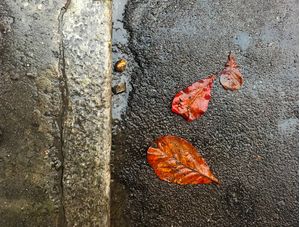 CHUVA NA CALÇADA III