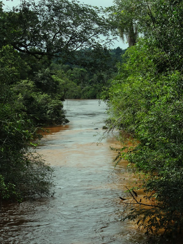 CAMINHOS DA ÁGUA 00
