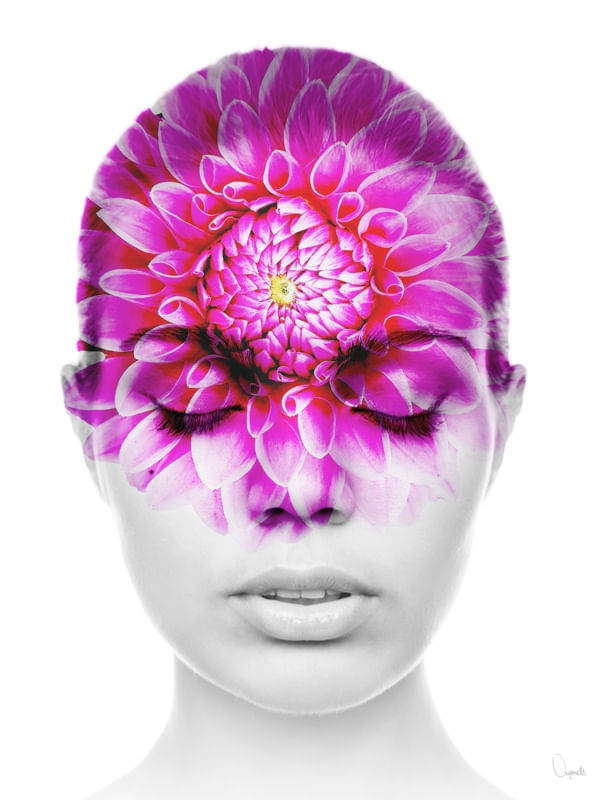 MEDITATION III C