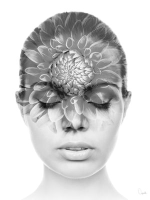 MEDITATION III PB I