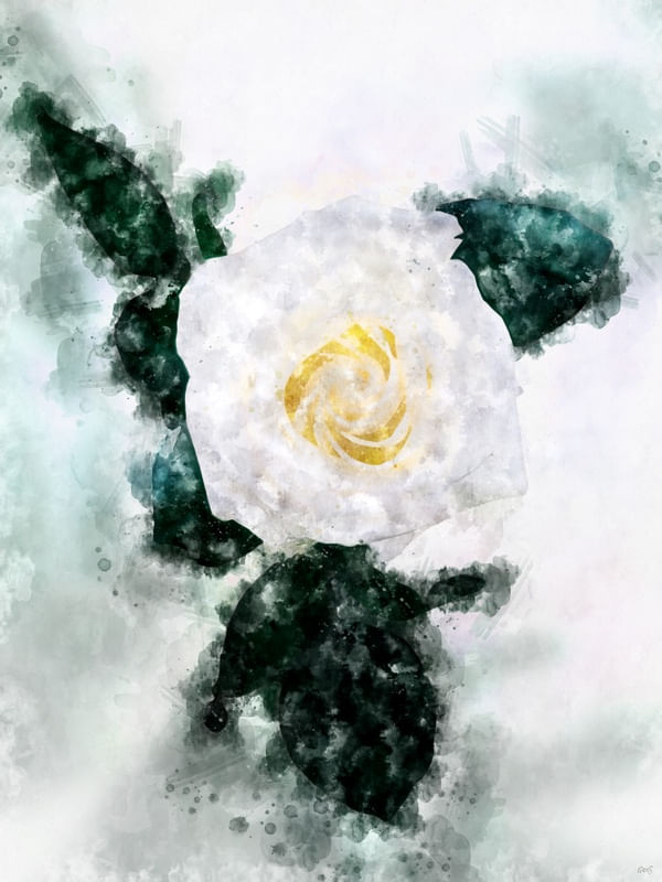 AQUARELA FLOR SOLITARIA 1