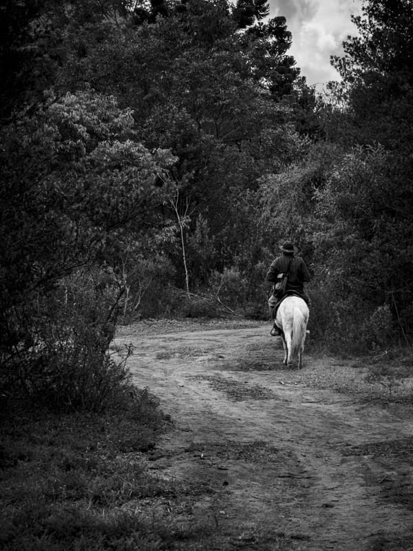 CAMINHOS DA ROÇA