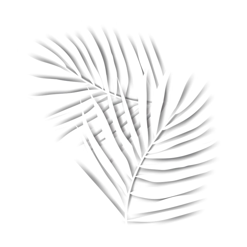 WHITE TROPICAL 1