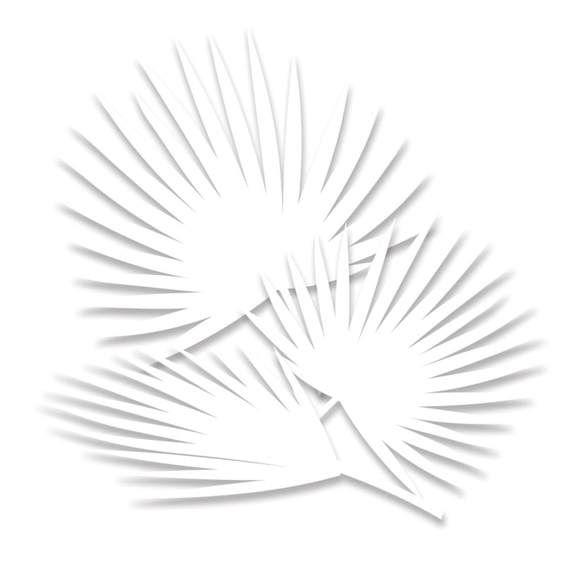 WHITE TROPICAL 3