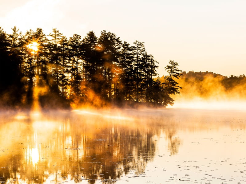 AMANHECER EM CHARLESTON LAKE