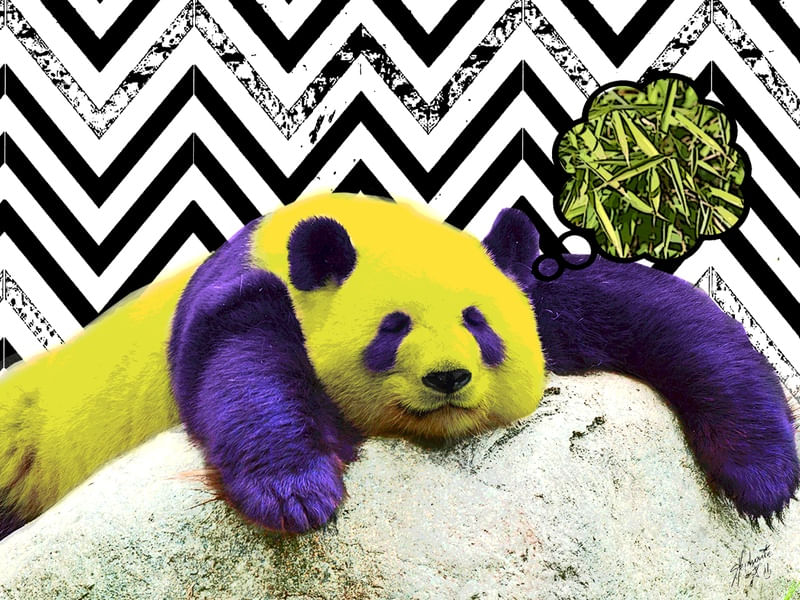 PANDA BAMBÚ