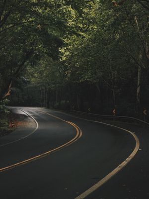 TÚNEL VERDE