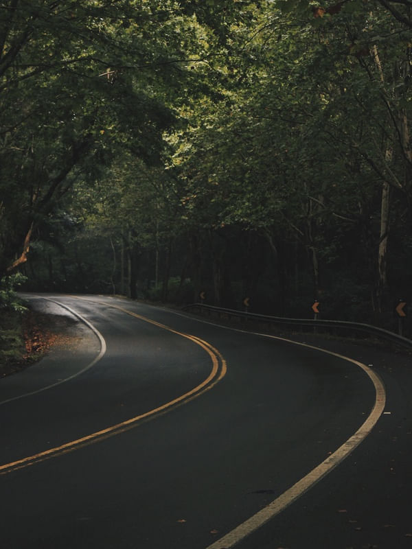 TÚNEL VERDE