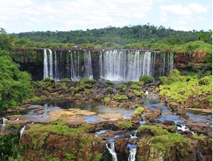 FOZ FALL