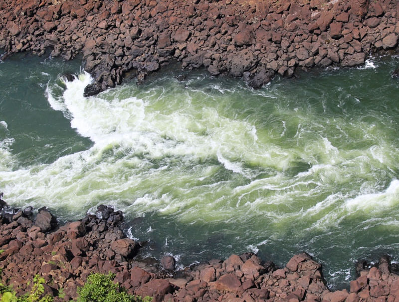 FOZ FALL 4