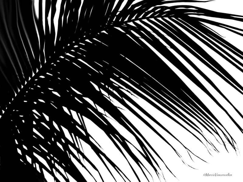 FOLHAGEM BW 1