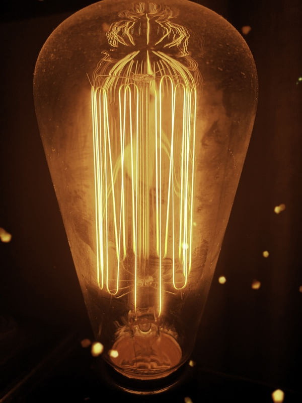 LIGHT BULB