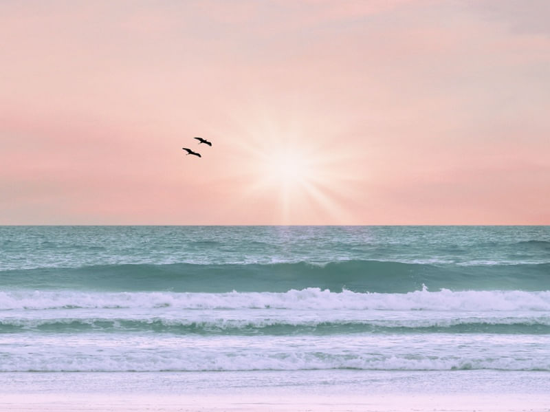 PARADISE PASTEL