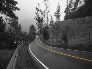 CAMINHO AMARELO
