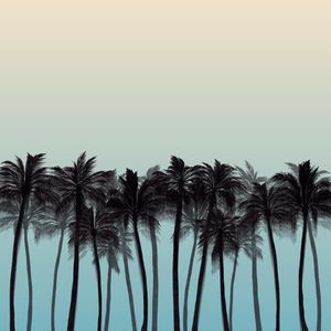BEACH PALMS 1