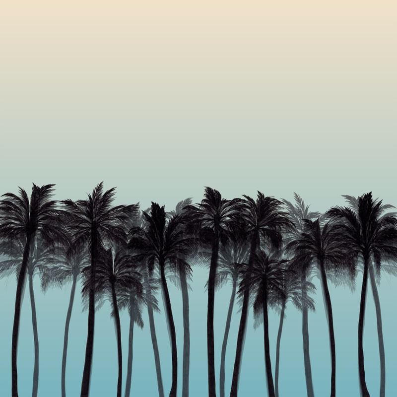 BEACH PALMS 1