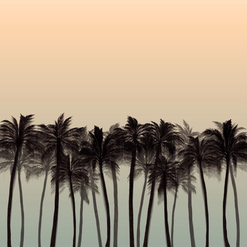 BEACH PALMS 2