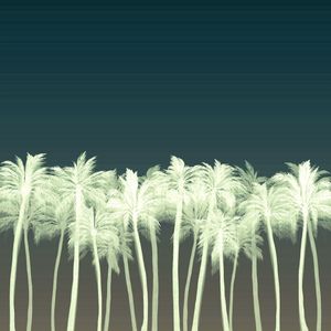 BEACH PALMS, INVERTED 1