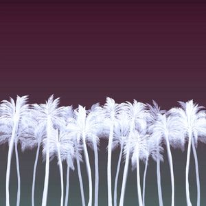 BEACH PALMS, INVERTED 2
