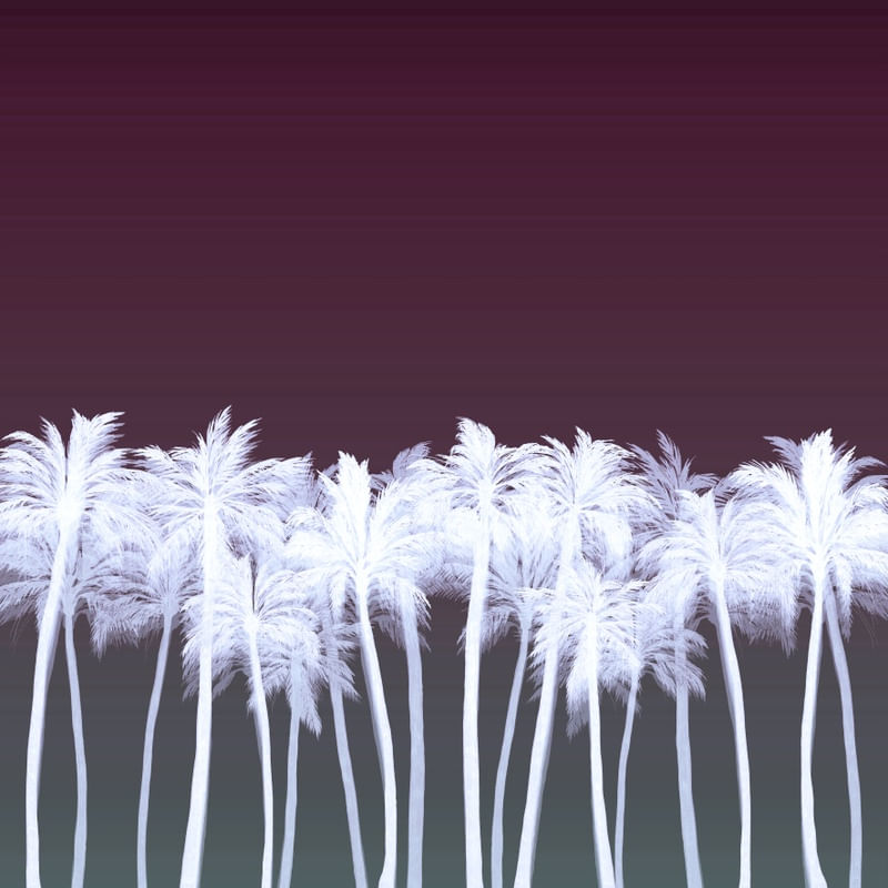 BEACH PALMS, INVERTED 2
