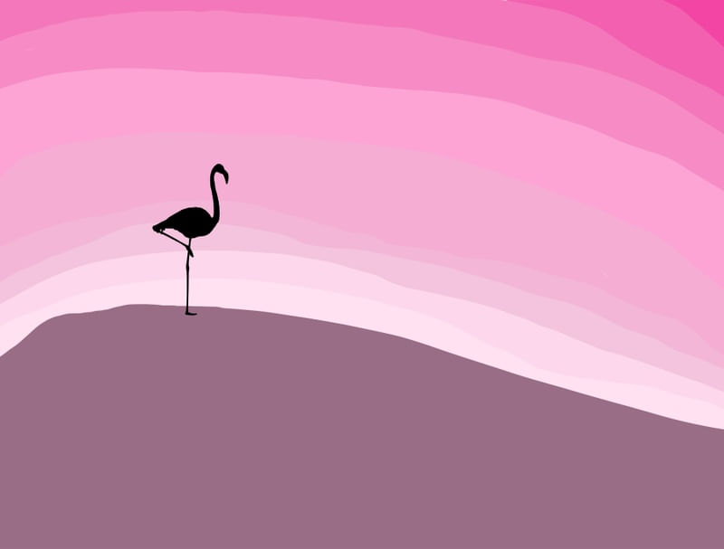 PINK FLAMINGOO