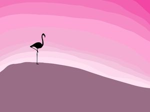PINK FLAMINGOO2