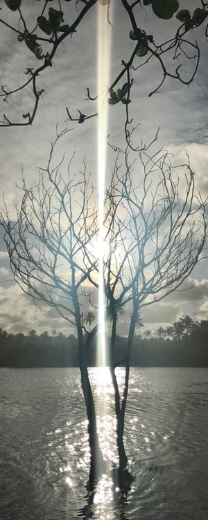 SOL LÁ