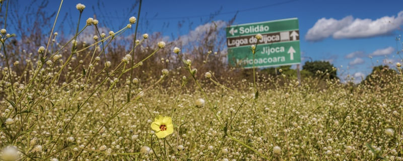 CAMINHO PRA SOLIDÃO