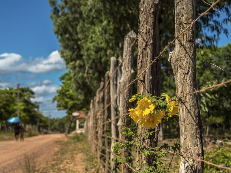 CAMINHOS DO SERTÃO_PAISAGEM