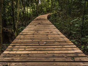 CAMINHOS_ECOPARK