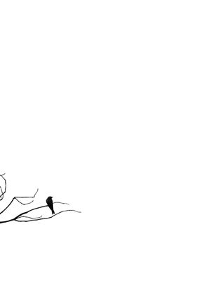 MINIMAL BIRD