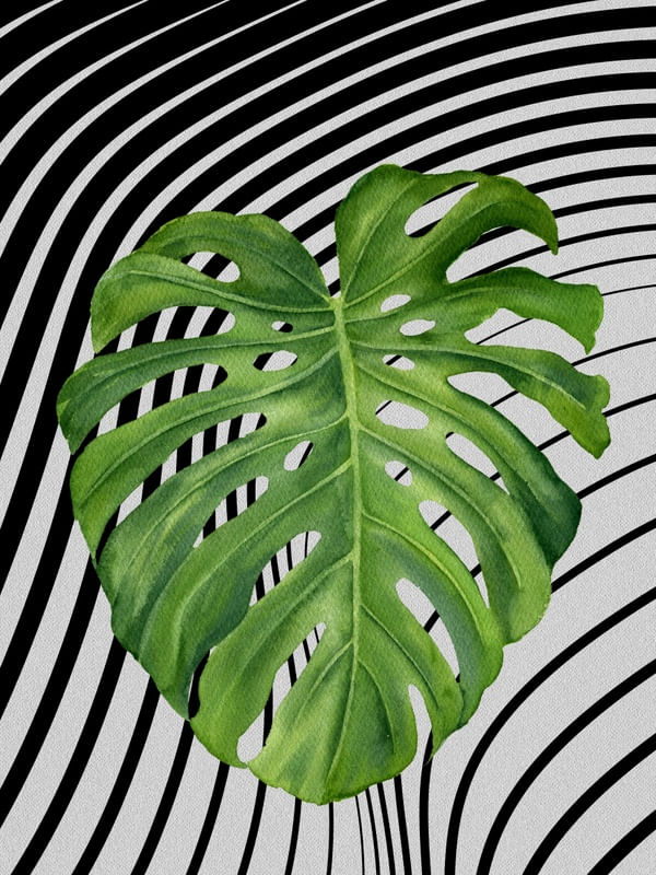 GRAPH LEAF IX