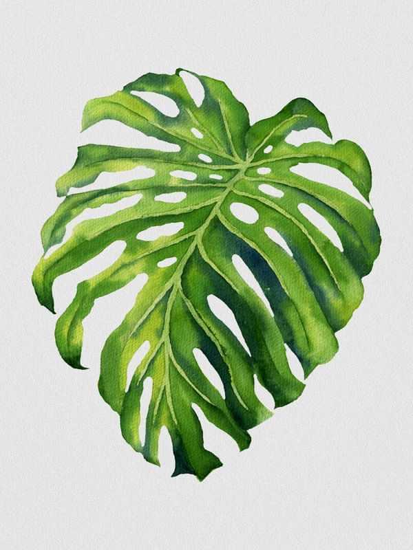 NATURE CUTOUT I