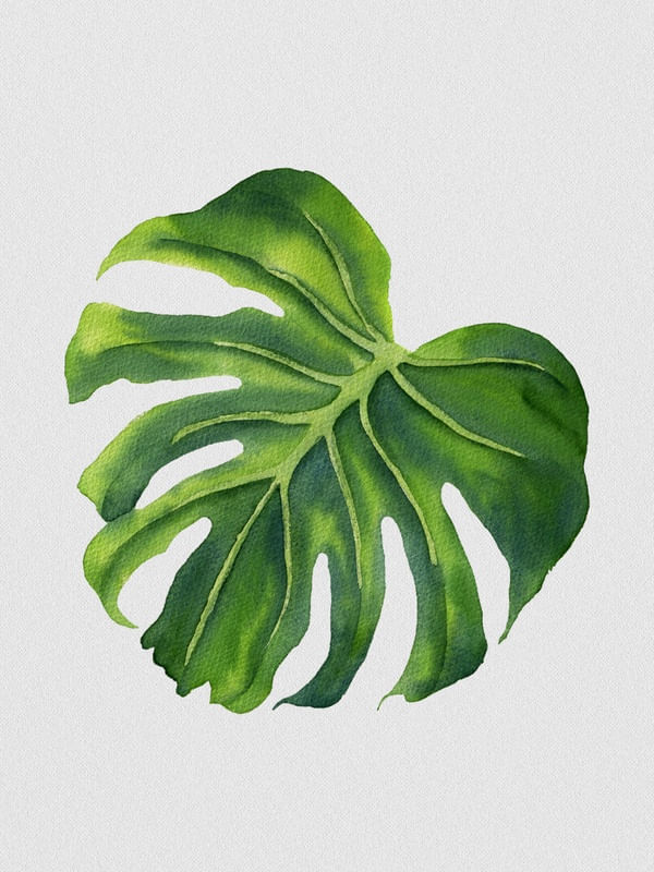 NATURE CUTOUT II
