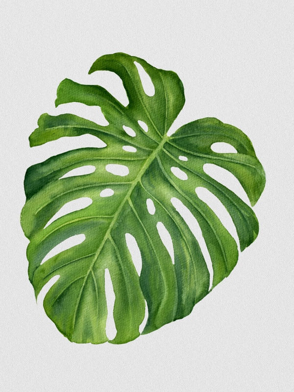 NATURE CUTOUT III