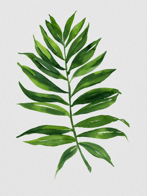 NATURE CUTOUT V