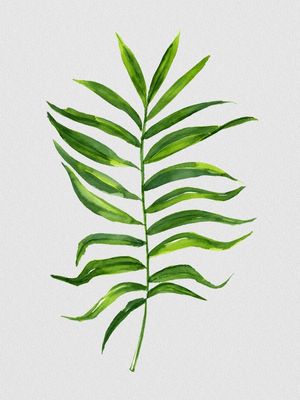 NATURE CUTOUT VI