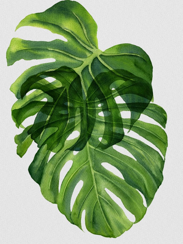 NATURE CUTOUT IX
