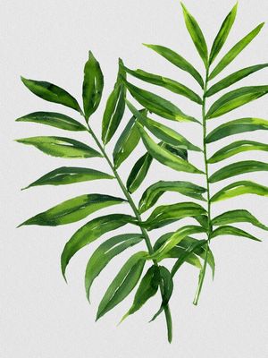 NATURE CUTOUT XIII