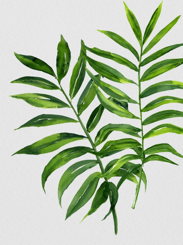 NATURE CUTOUT XIII