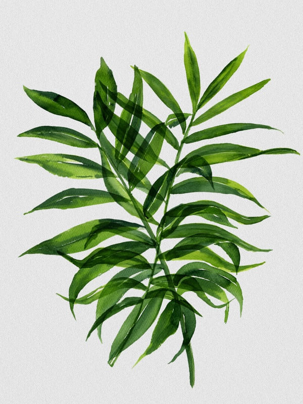 NATURE CUTOUT XV