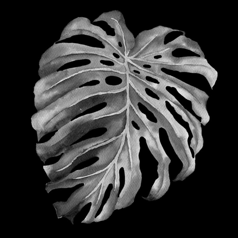 DARKNESS LEAF I